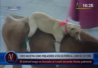Video muestra cómo pobladores atan a un perro al lomo de un toro