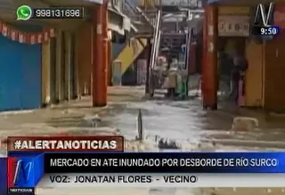 Ate: desborde del río Surco inundó Mercado Plaza Vitarte