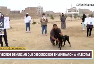Chorrillos: Vecinos denuncian que desconocidos envenenaron a sus mascotas 