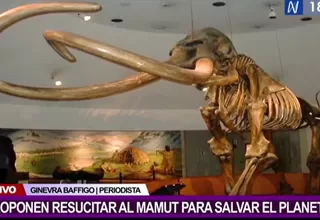 Un grupo de científicos propone resucitar mamuts para salvar el planeta