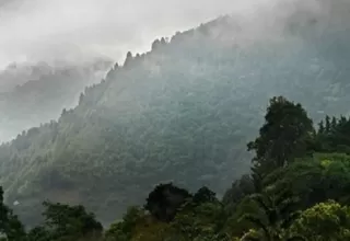 Desde este martes la selva peruana afrontará el sexto friaje del año, indica Senamhi