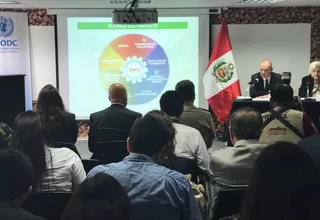 Devida y ONU: superficie de cultivos de coca en Perú creció en 9 % en 2016