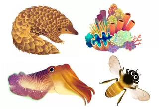 Descubre qué animal eres con el nuevo doodle de Google por el Día de la Tierra