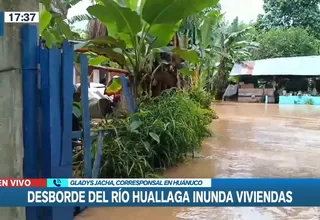Huánuco: Desborde del río Huallaga inunda viviendas