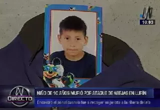 Lurín: Niño de 10 años murió tras ataque de abejas