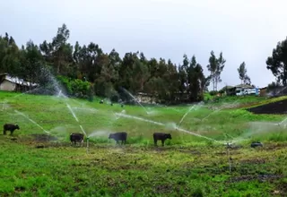 Minagri: Instalarán sistema de riego tecnificado en Ayacucho, Cajamarca y Arequipa