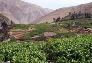Ministerio de Agricultura declaró en emergencia hídrica 37 valles del país