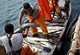 Ministro Ghezzi: Fenómeno del Niño no afectará la pesca