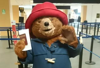 ¡Paddington volvió a casa!: famoso oso de cuentos ingleses es peruano
