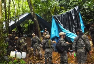 PNP decomisó más de 4 toneladas de hoja de coca ilegal en Ayacucho
