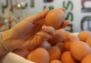 "Precio del huevo podría llegar a los 9 soles el próximo mes" advierte asociación de avicultores 