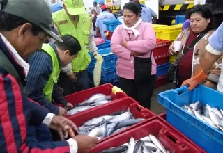 Supervisan venta de pescado en el terminal del Callao