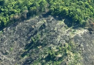Cerca del 20% de la Amazonía desapareció en 50 años, según WWF