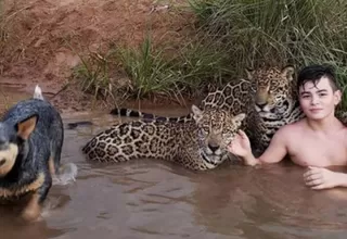 Brasil: la historia detrás de la foto del niño que juega con jaguares