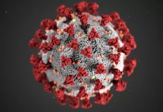 Científicos de Sudáfrica hallan una nueva variante del coronavirus muy mutante