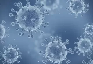 COVID-19: Investigadores consiguen la primera imagen real en 3D del coronavirus
