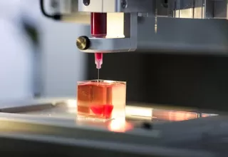 Israel: crean un corazón con una impresora 3D a partir de tejidos humanos