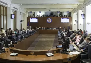 ​Dieciséis países piden en la OEA garantizar la protección de Guaidó en Venezuela