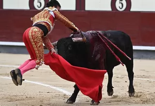 España: torero sufre cornada en la plaza de Las Ventas de Madrid