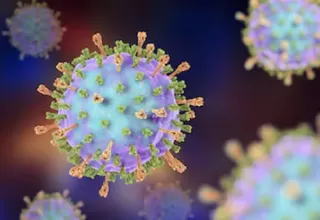 Coronavirus: Israel anuncia que ha desarrollado un anticuerpo para COVID-19