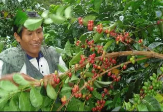 Londres: Perú será parte de la Organización Internacional de Café