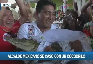 México: Alcalde se casó con un cocodrilo vestido de novia