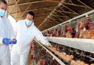 OMS expresó "gran preocupación" por transmisión de gripe aviar