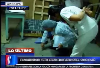Arequipa: Denuncian presencia de roedores en comedor del hospital Honorio Delgado