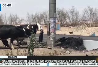 Arequipa: Ganaderos botan leche al no poder venderla a plantas atacadas