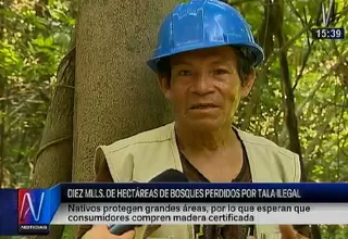 Tala ilegal: nativos protegen grandes áreas de bosques en peligro
