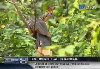 Jóvenes peruanos ganaron concurso de observación de aves en Tambopata