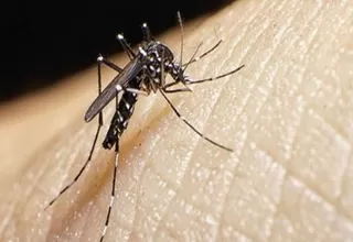Lambayeque: incrementan vigilancia por caso importando del Virus del Zika