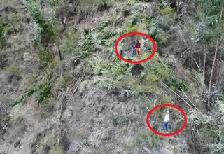 Trujillo: intervienen a taladores de árboles con ayuda de un drone