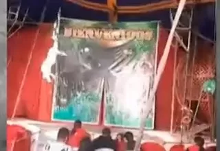 [VIDEO] La Libertad: Trapecista cae durante presentación en circo
