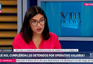 Vicky Zamora, jefa de la Unidad de Investigación de Canal N, dio detalles sobre el caso Valkiria XI