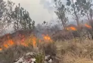 [VIDEO] Incendio forestal en el sector de Ccapaccalla