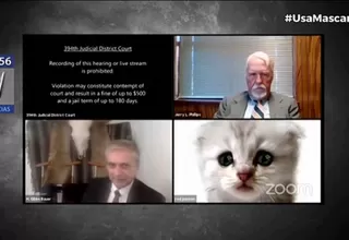 Un abogado entró a audiencia virtual con un filtro de gato