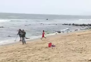 Ancón: Encuentran aves muertas en playa Las Conchitas 