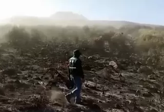 Arequipa: incendio forestal consumió 15 hectáreas de vegetación
