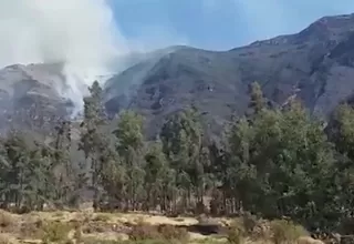 Arequipa: incendio forestal en laderas de cerros de Cabanaconde