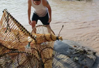 Arequipa: Más de 500 kilos de camarón fueron incautados tras incumplimiento de veda
