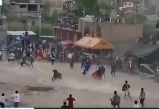 Ayacucho: Corrida de toros en la vía pública dejó varios heridos