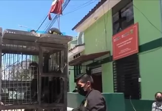 [VIDEO] Ayacucho: Policía rescata a animales en peligro de extinción
