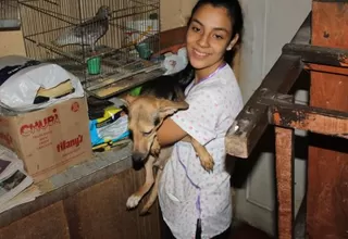 Barranco: Rescataron perros que estaban hacinados en una vivienda 