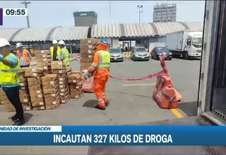 Callao: Incautan más de 300 kilos de droga camuflada en cargamento de paltas