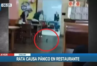 Callao: Una rata causó pánico en comensales de restaurante