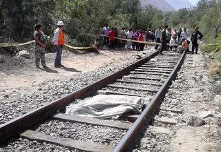 Chaclacayo: hombre murió arrollado por tren que transportaba minerales