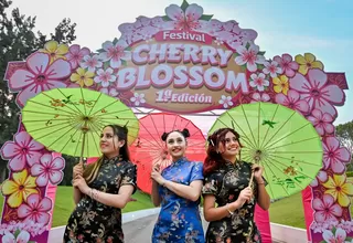 Cherry Blossom: Disfruta del florecimiento de los cerezos en el Circuito Mágico del Agua