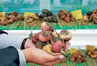 Ciudadanos chinos exportan de manera ilegal maca cultivada en Junín
