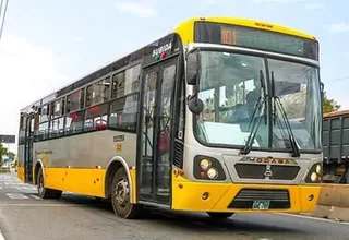 Corredor amarillo: Este es el recorrido de los buses de transporte urbano